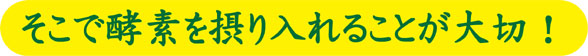 そこで酵素を