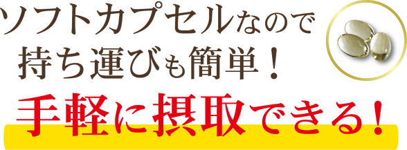 手軽に摂取