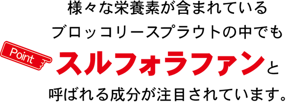 様々な栄養素