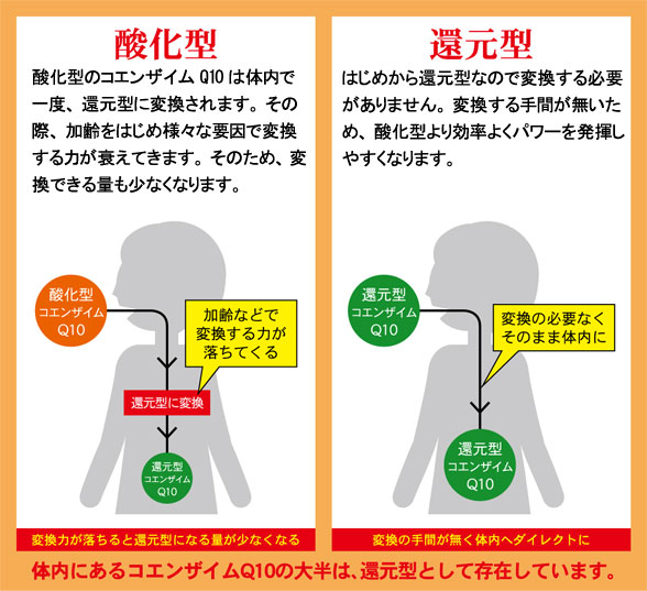 違い図解