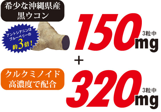 黒ウコン