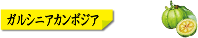 ガルニシアカンボジア