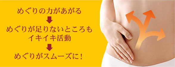 めぐりの力